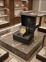 Luxury Two-Tone Stainless Steel Men's Watch